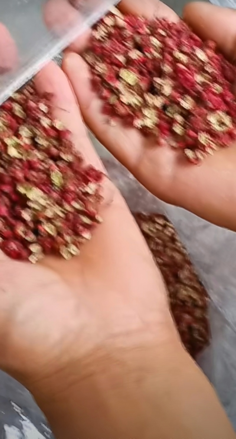 精品武都大红袍，陇上小江南花椒基地，色红味麻！