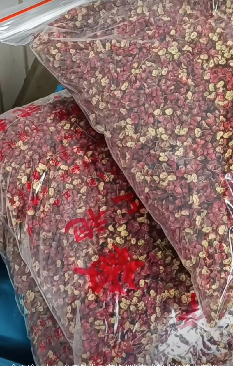 精品武都大红袍，陇上小江南花椒基地，色红味麻！
