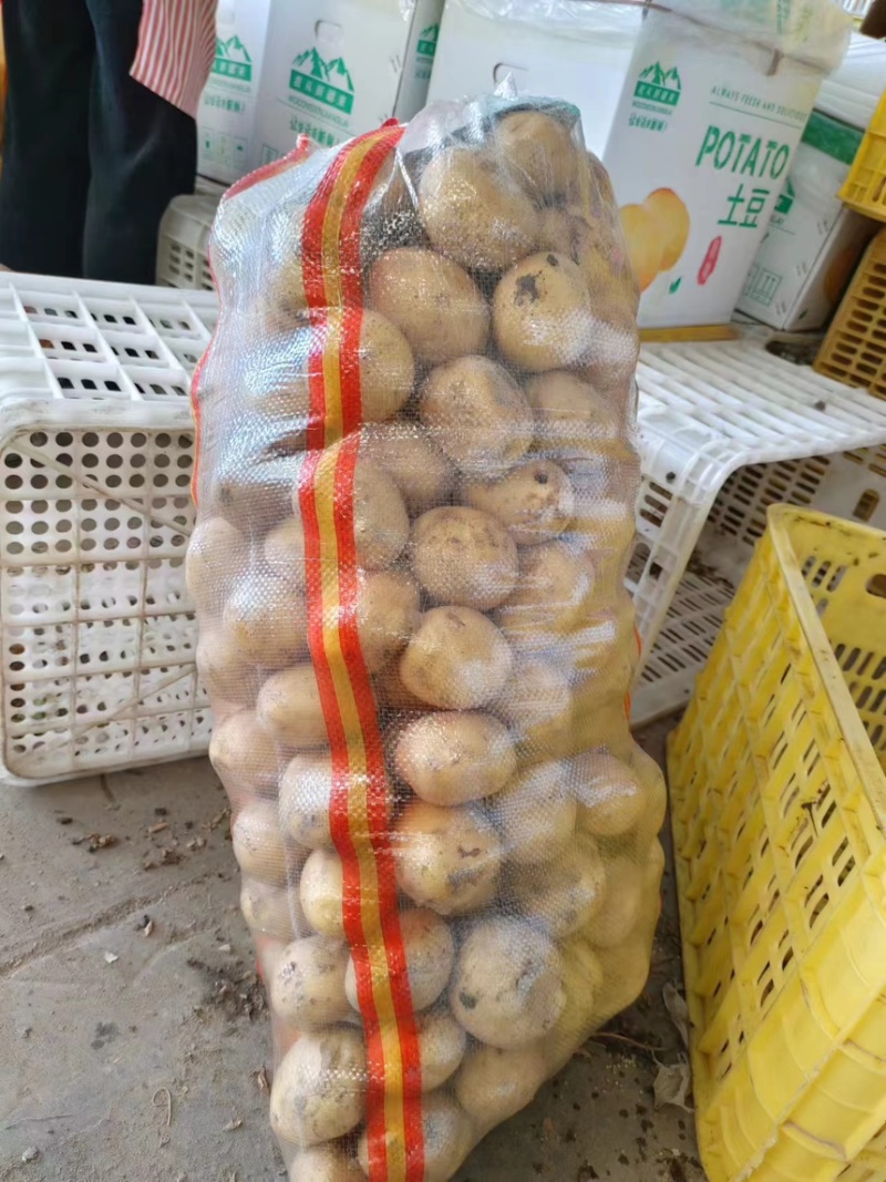 新疆阿克苏地区实验一号土豆