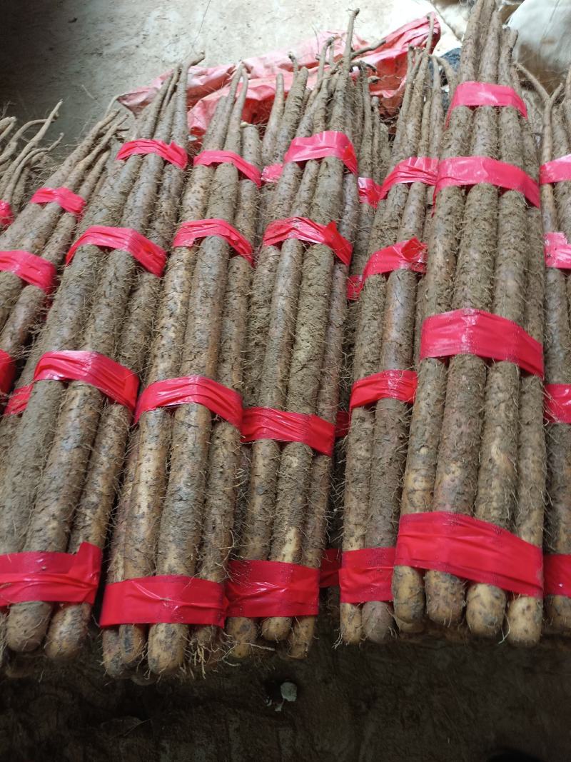 精品双胞山药山东菏泽山药之乡大量供应欢迎来电咨询