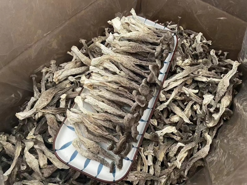 鹿茸菇干货批发产地直销当季鹿茸菇颜色新味道浓郁无碎无沙