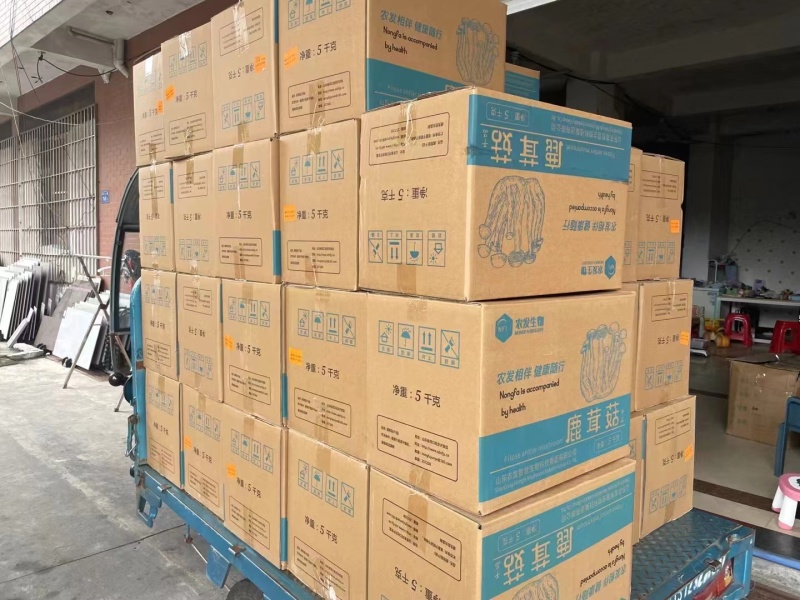 鹿茸菇干货批发产地直销当季鹿茸菇颜色新味道浓郁无碎无沙