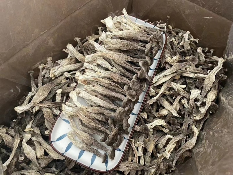 鹿茸菇干货批发产地直销当季鹿茸菇颜色新味道浓郁无碎无沙