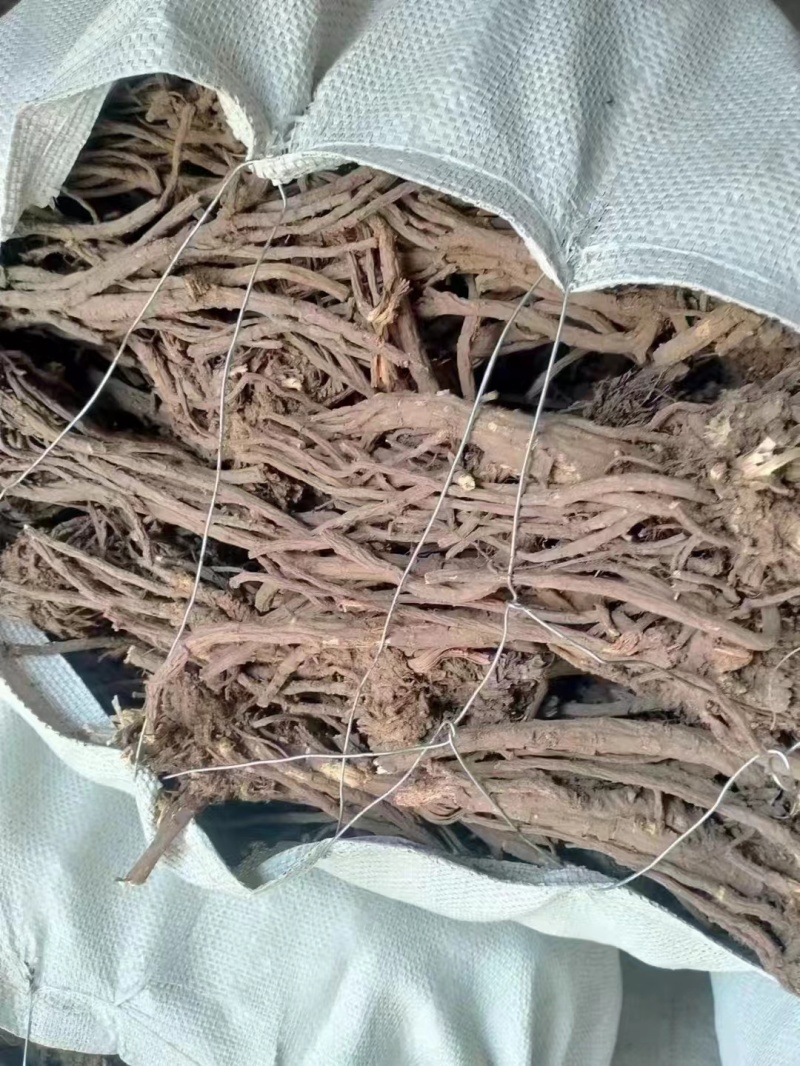 精品羌活价格优惠量大从优欢迎咨询