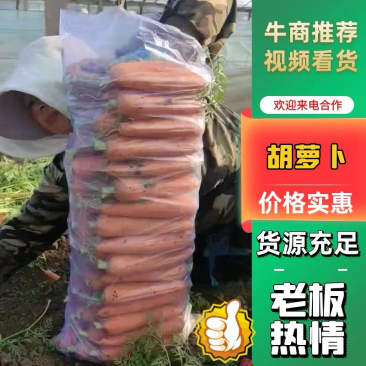 山东潍坊三红精品胡萝卜大量上市产地发货保质保量