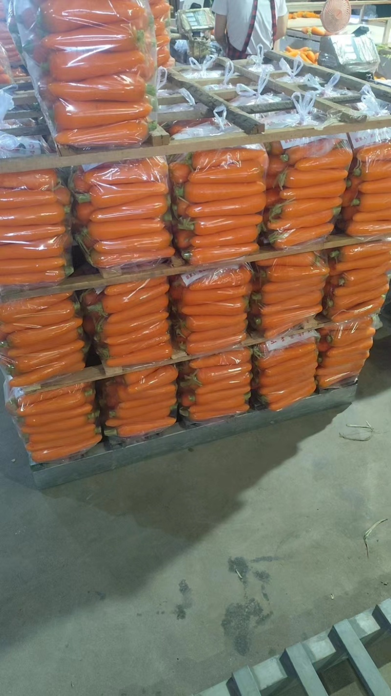 山东潍坊三红精品胡萝卜大量上市产地发货保质保量