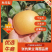 原产地供货商：秋月梨，大量上市，价格美丽！
