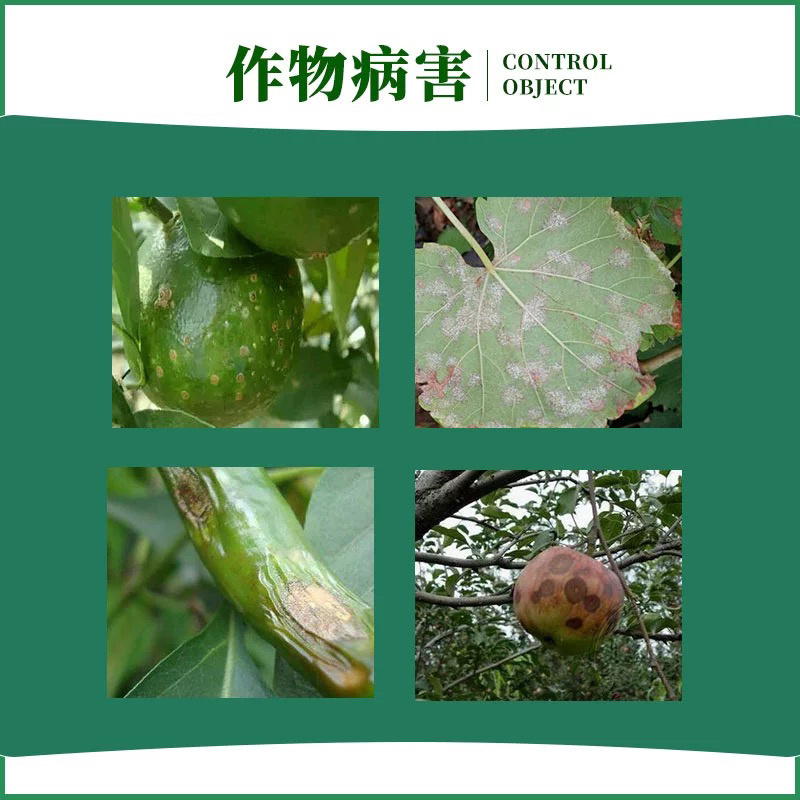 辉科-86%波尔多液-水粉散粒剂（货源充足欢迎咨询）