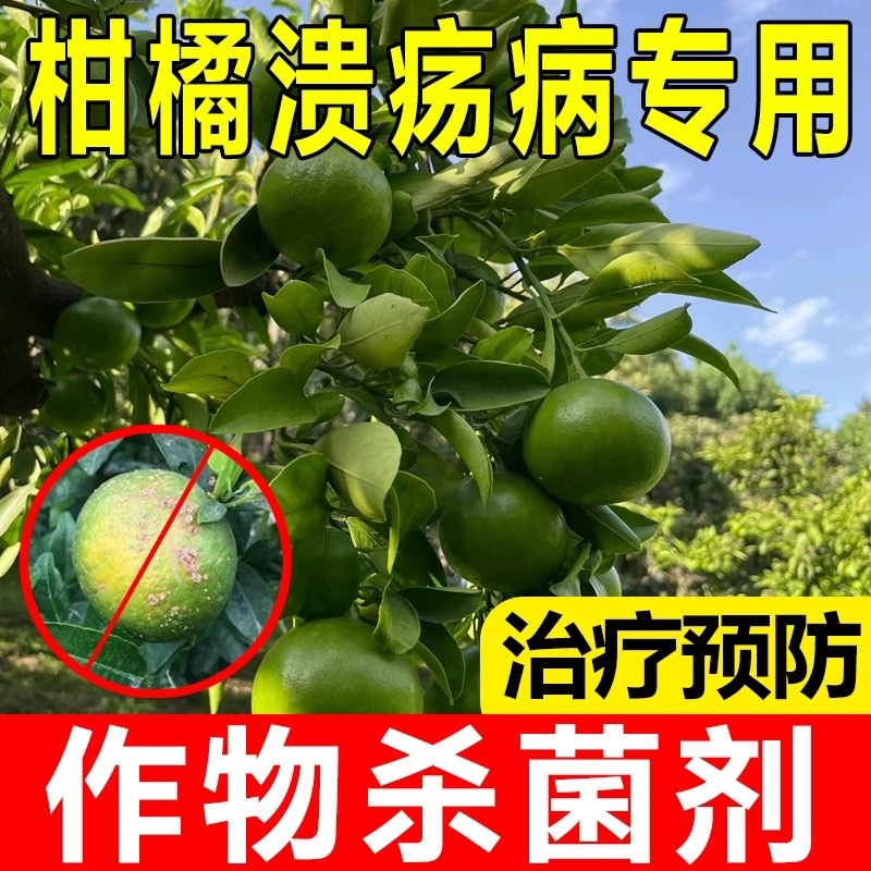 辉科-86%波尔多液-水粉散粒剂（货源充足欢迎咨询）