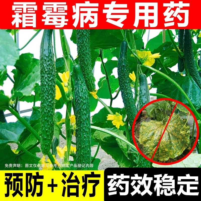 辉科-86%波尔多液-水粉散粒剂（货源充足欢迎咨询）