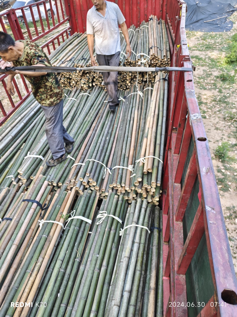 竹竿果树支撑杆，菜架竹豆角架，山药架竹竿，大棚竹竿