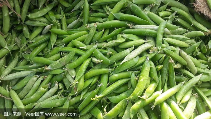青豌豆水果豌豆胡豆上市，一件代发基地直供欢迎订购