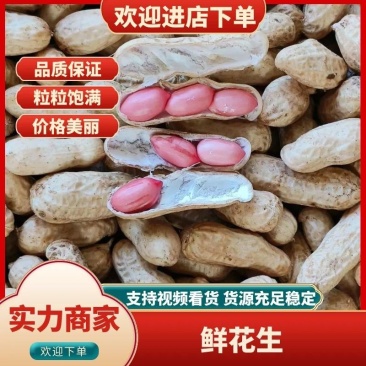 开封鲜花生，四粒红花生等，品种齐全，一手货源，诚信经营