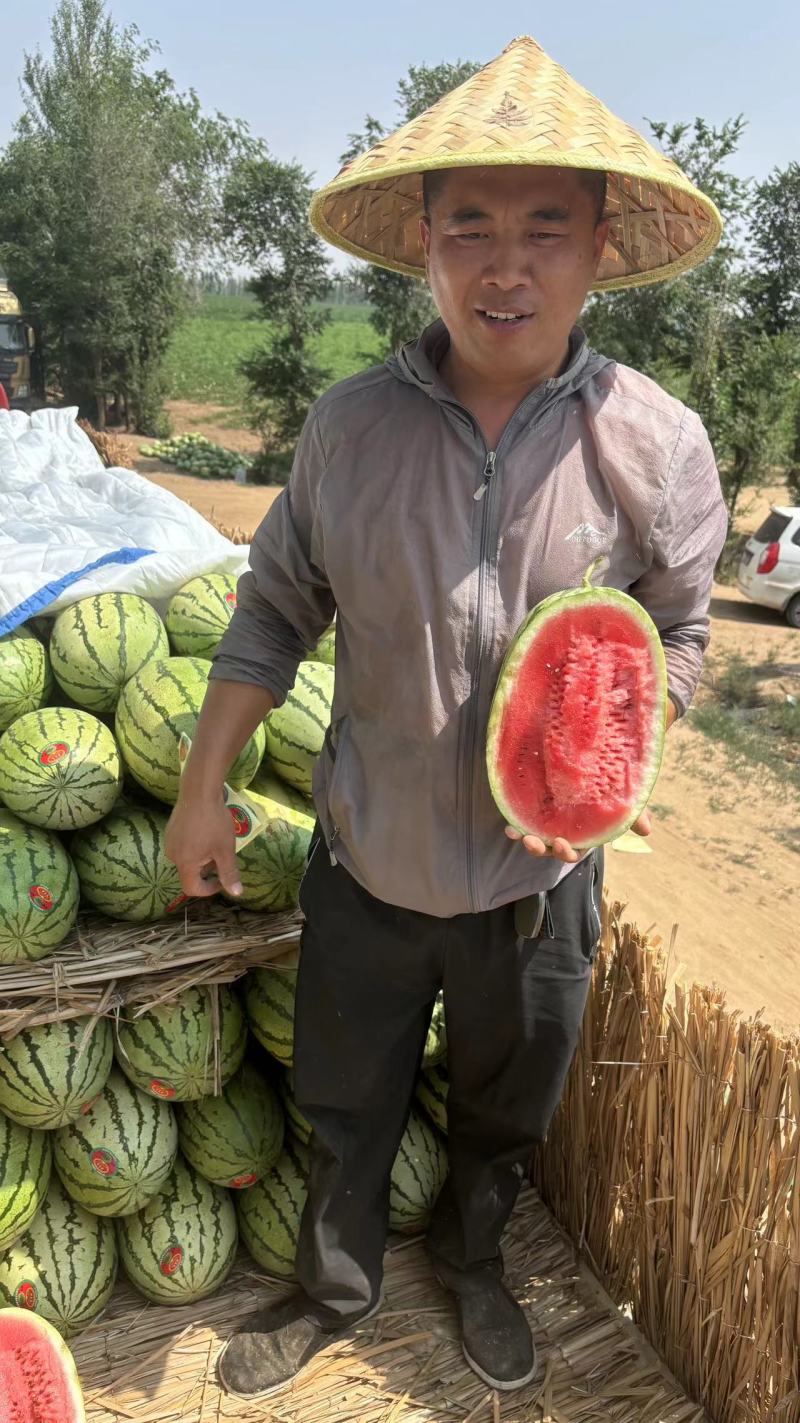 内蒙古沙漠一号沙石地早晚温差大口感酥脆砂甜