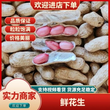 精品鲜花生，产地直发，保质保量，可视频看货，诚信经营