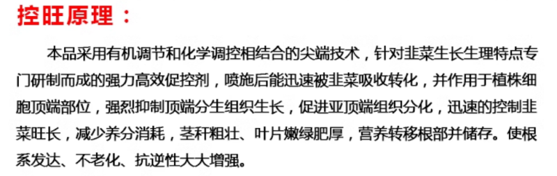 韭菜专控韭菜控旺养根剂预防干尖叶片浓绿控制旺长抗倒伏