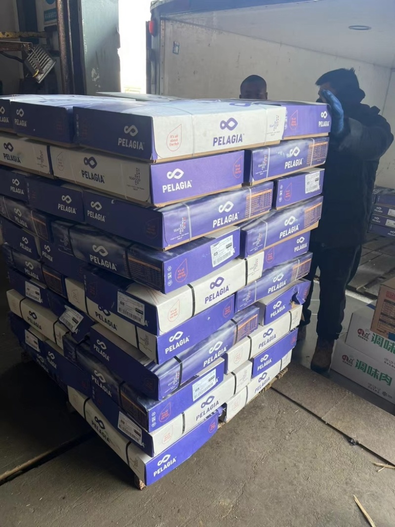 挪威清花鱼，4/6，3/5规格齐全，一手货源