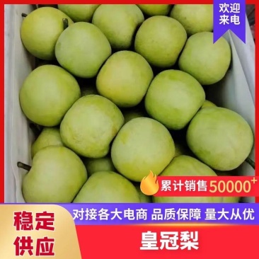 皇冠梨，套袋自然色，白皇冠梨产地直供，整车待发