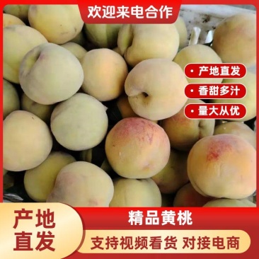 宿州汤山黄桃大量上市中，货源充足，现摘现装，欢迎采购