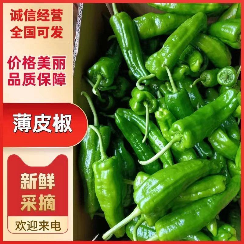 薄皮椒芜湖椒看货论价货源充足价格随行全国发货