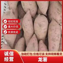 河南开封龙九红薯沙地红薯，大量现货上市，基地直发量大从优