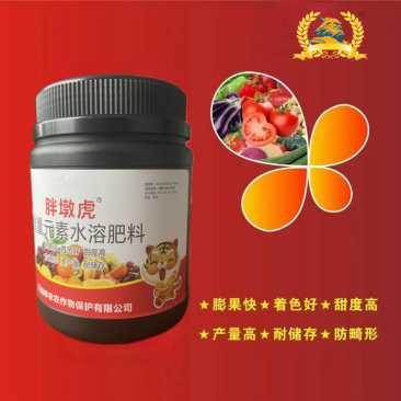 膨果肥膨果快，着色好，甜度高，产量高，耐储存，防畸形
