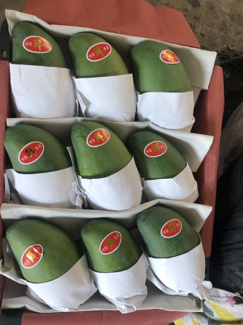 精品大青芒果批发产地直发可接一件代发运费自理