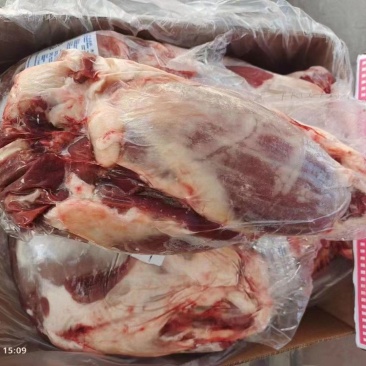 牛腱23.5A级货优质产品质量保障一手货源全国冷链