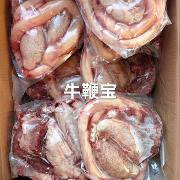 牛鞭宝A级货优质产品质量保障一手货源全国冷链物流发