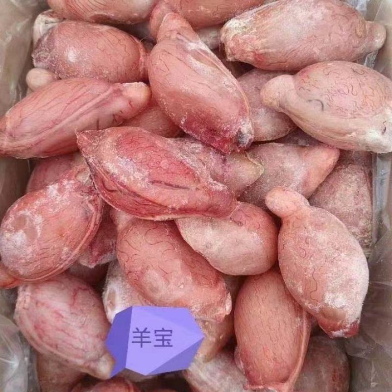 羊宝A级货优质产品质量保障一手货源全国冷链物流发货