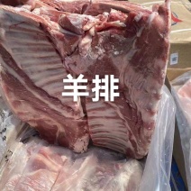 羔羊排A级货优质产品质量一手货源全国冷链物流发