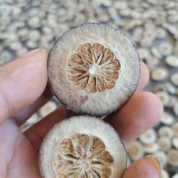 玳玳酸橙枳壳