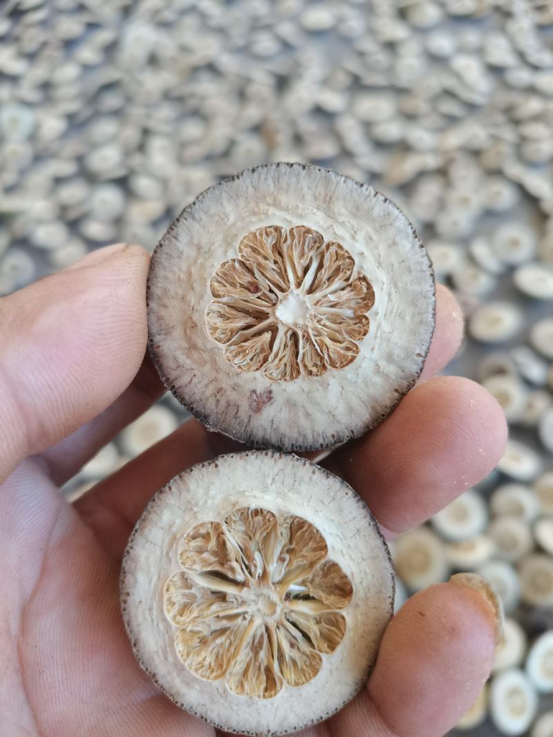 玳玳酸橙枳壳