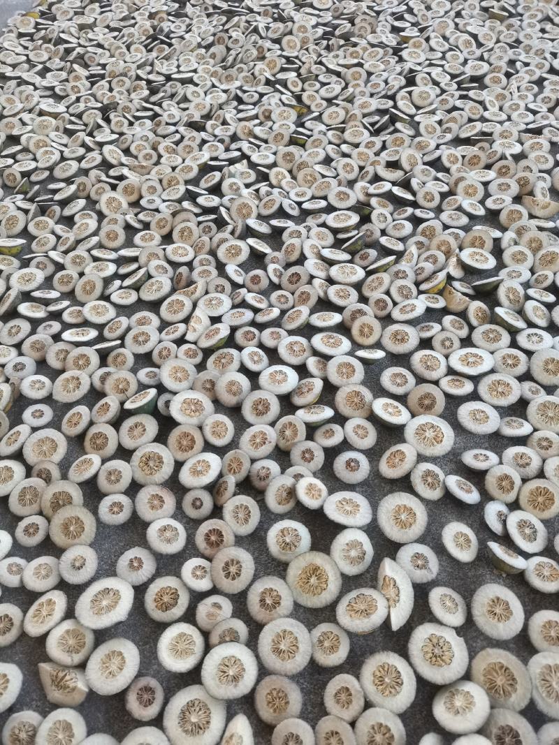 玳玳酸橙枳壳