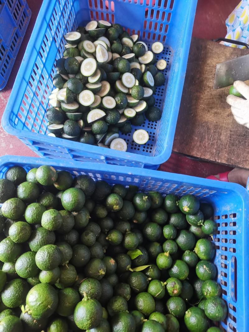 玳玳酸橙枳壳