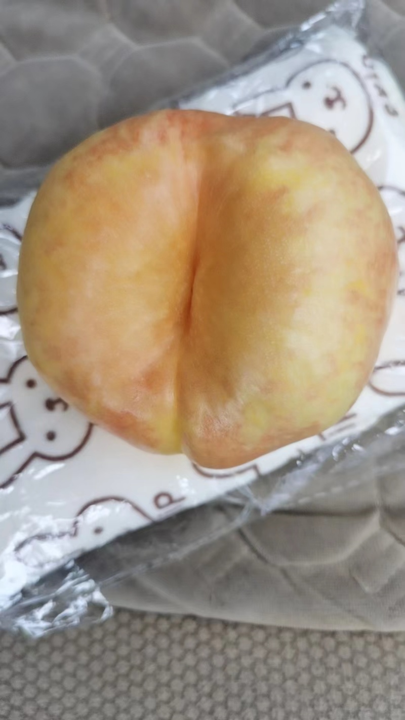 油蟠七