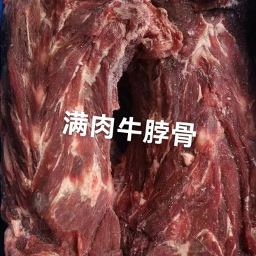 满肉牛脖骨A级货优质产品质量保障一手货源全国冷链物