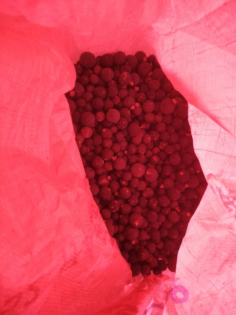 玳玳酸橙枳壳