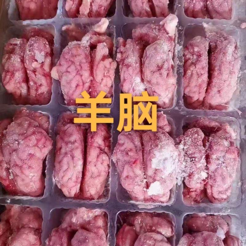 羊脑A级货优质产品质量保障一手货源全国冷链物流发货