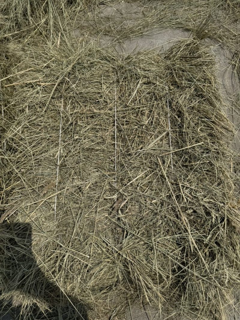 出售牛羊草圆捆肉丝