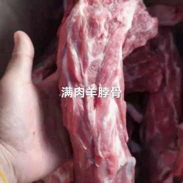 满肉羊脖骨A级货优质产品质量保障一手货源全国冷链物