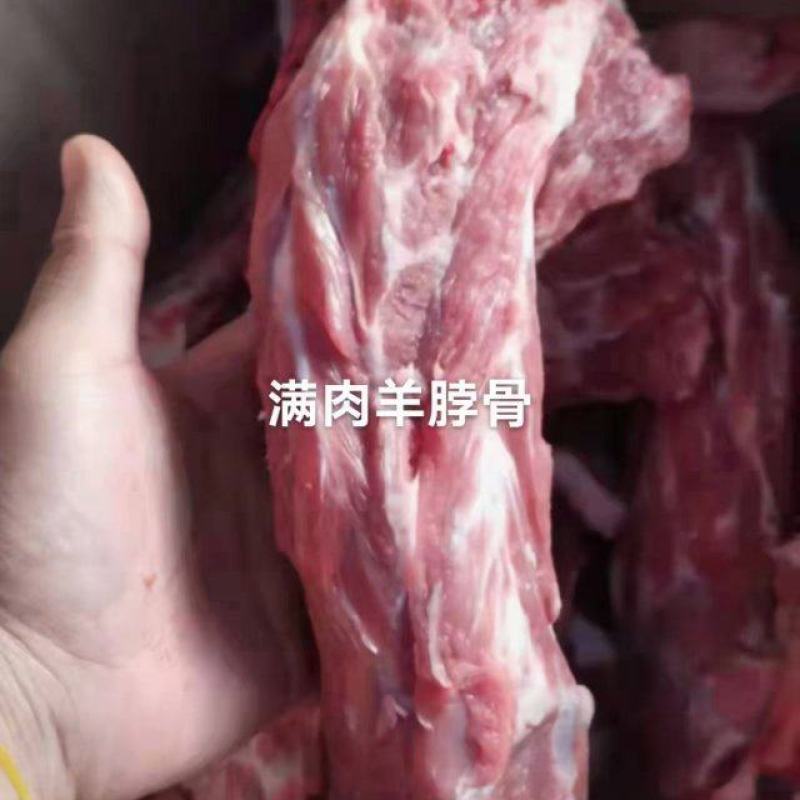 满肉羊脖骨A级货优质产品质量保障一手货源全国冷链物