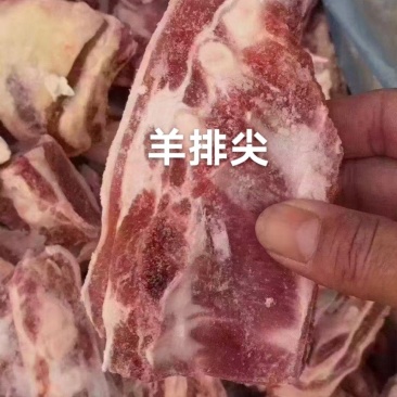 羊排尖A级货优质产品质量保障一手货源全国冷链物流发