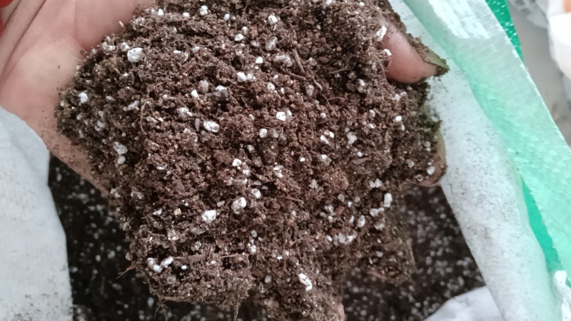 育苗基质土。各种蔬菜苗，草莓苗，扦插基质，厂家直销价格优
