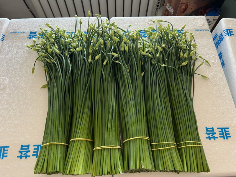 韭菜苔现货大量上市，优质一手货源，诚信合作。