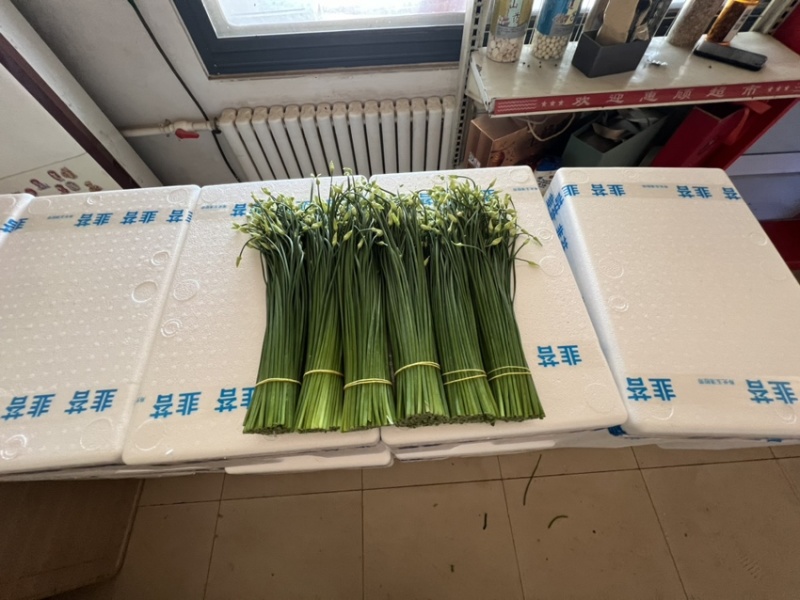 韭菜苔现货大量上市，优质一手货源，诚信合作。