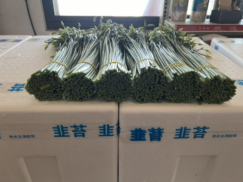 韭菜苔现货大量上市，优质一手货源，诚信合作。