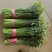 韭菜苔现货大量上市，优质一手货源，诚信合作。