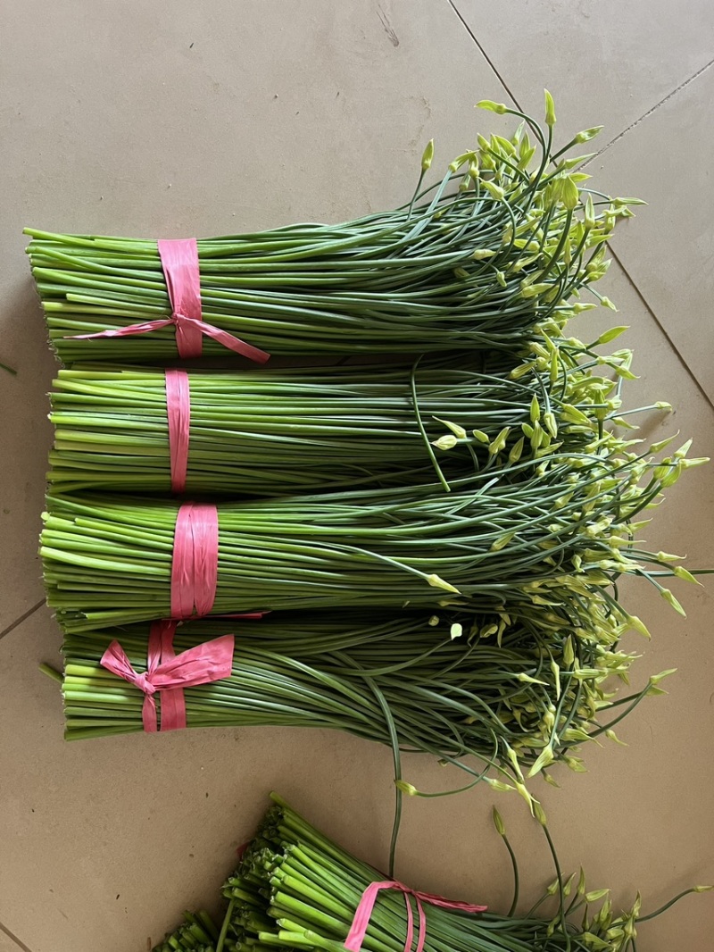 韭菜苔现货大量上市，优质一手货源，诚信合作。