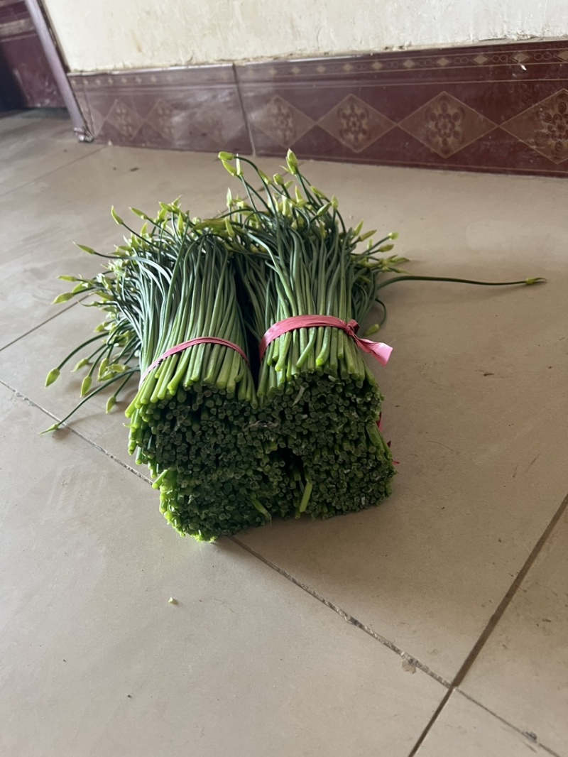 韭菜苔现货大量上市，优质一手货源，诚信合作。